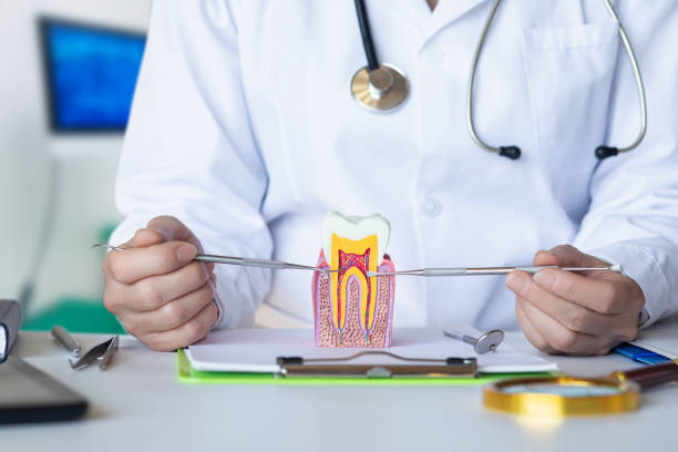 Best Emergency Dental Care for Broken or Chipped Teeth in Oceanport, NJ